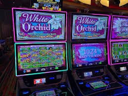 Andar Bahar live table interface Andar Bahar live table interface on 303hoki slot